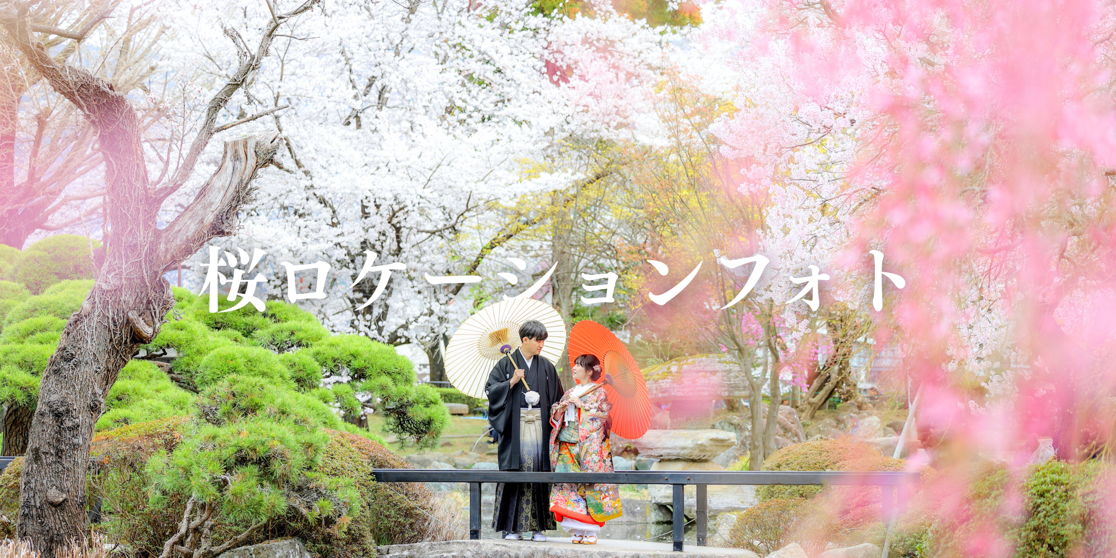 🌸桜ロケーションウェディングフォト受注開始🌸の代替テキスト